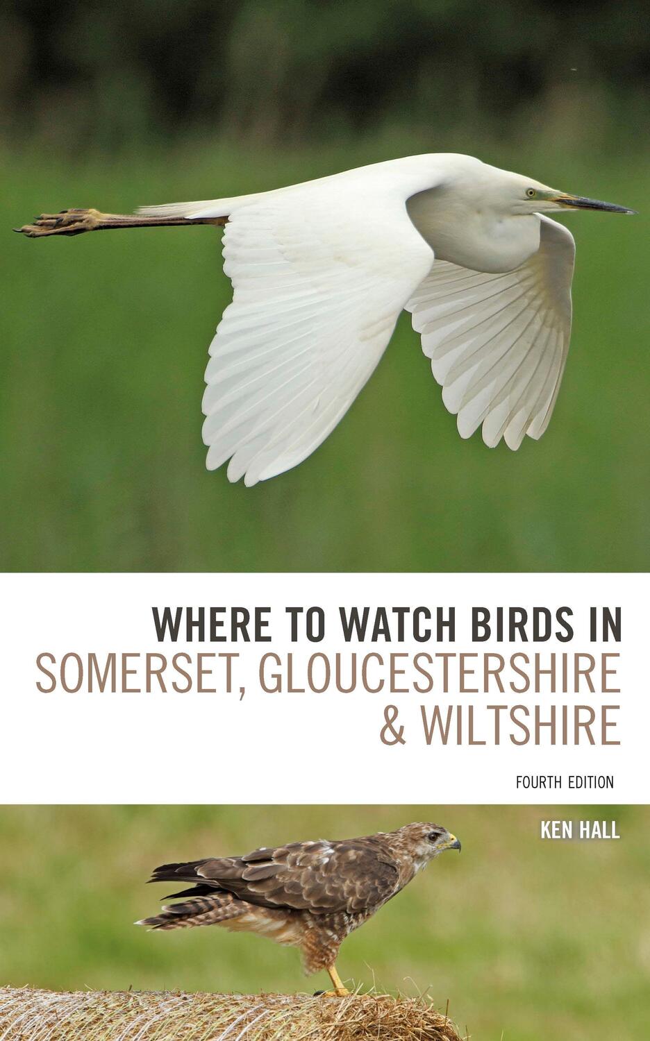 Cover: 9781472912381 | Where To Watch Birds in Somerset, Gloucestershire and Wiltshire | Hall