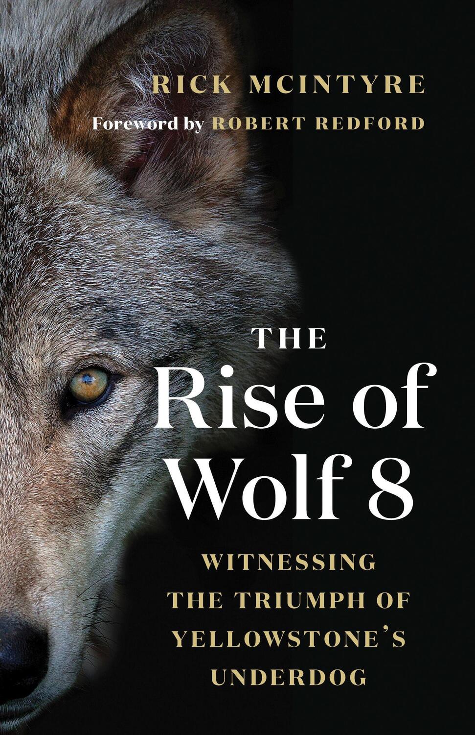 Cover: 9781771647809 | The Rise of Wolf 8 | Witnessing the Triumph of Yellowstone's Underdog