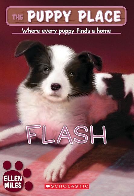 Cover: 9780439874113 | Flash (the Puppy Place #6) | Ellen Miles | Taschenbuch | Englisch