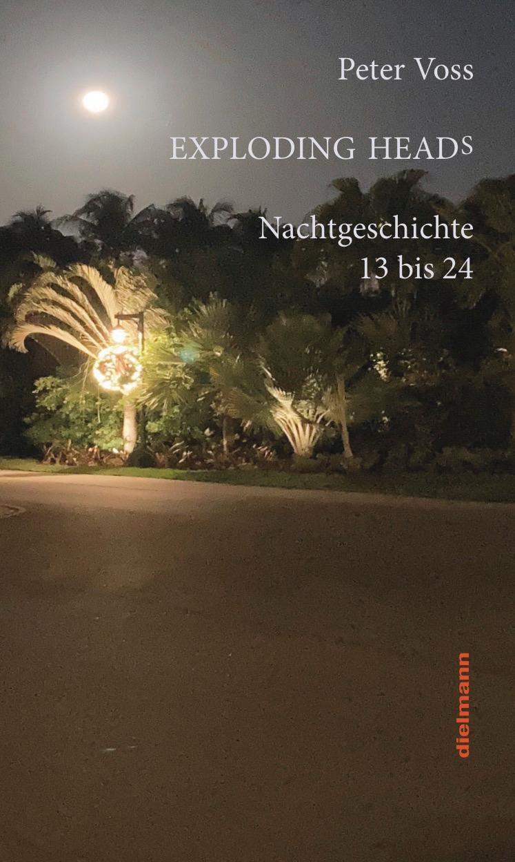 Cover: 9783866384422 | Exploding Heads | Nachtgeschichte 13 bis 24 | Peter Voss | Buch | 2023