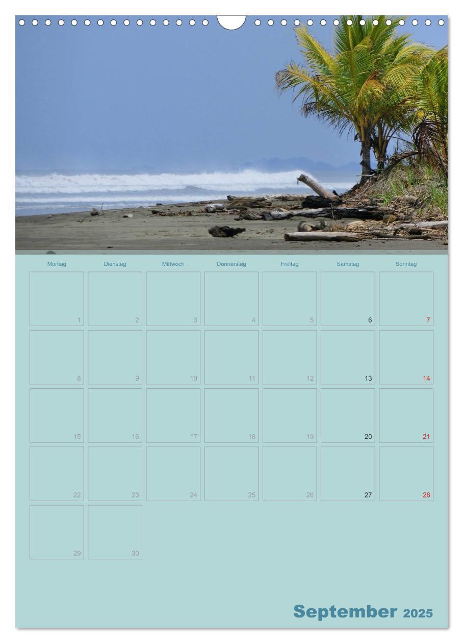 Bild: 9783457049389 | Karibik - Sonne, Strand und Palmen (Wandkalender 2025 DIN A3 hoch),...