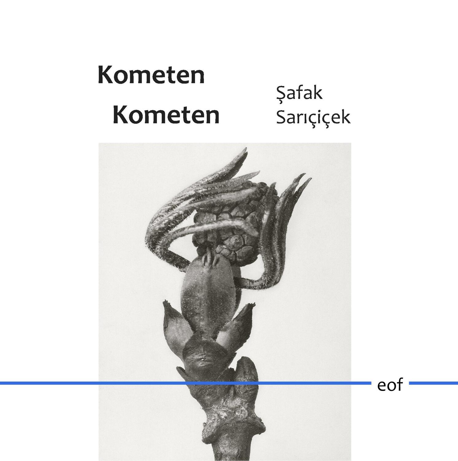 Cover: 9783749495672 | Kometen Kometen | Gedichte | Safak Saricicek | Buch | Books on Demand