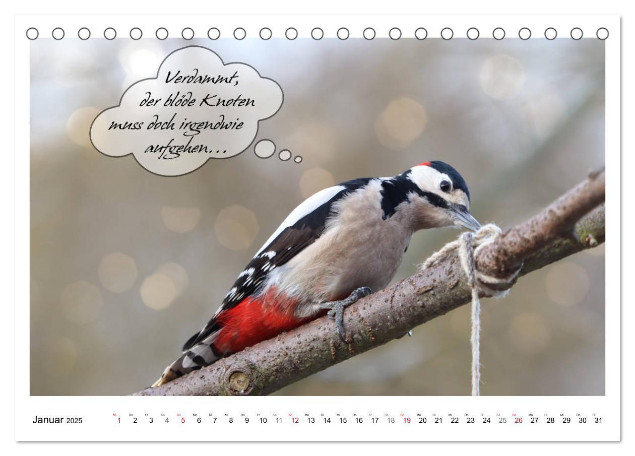 Bild: 9783435113446 | Vögel mit Humor (Tischkalender 2025 DIN A5 quer), CALVENDO...