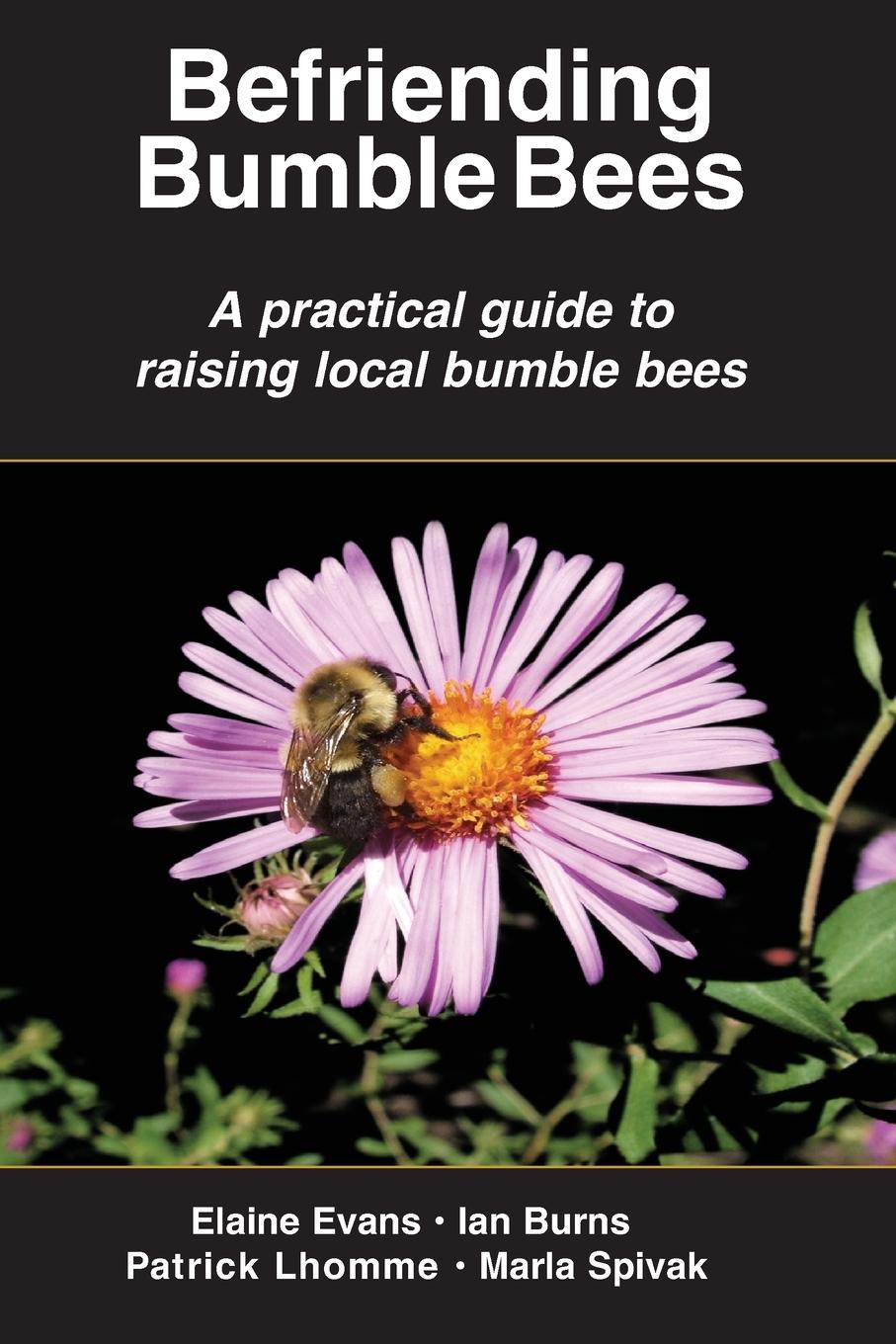 Cover: 9781878075635 | Befriending Bumble Bees | Elaine Evans (u. a.) | Taschenbuch | 2023