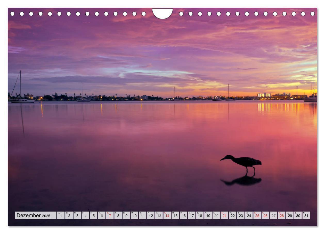 Bild: 9783435820283 | FLORIDA Malerischer Sonnenscheinstaat (Wandkalender 2025 DIN A4...