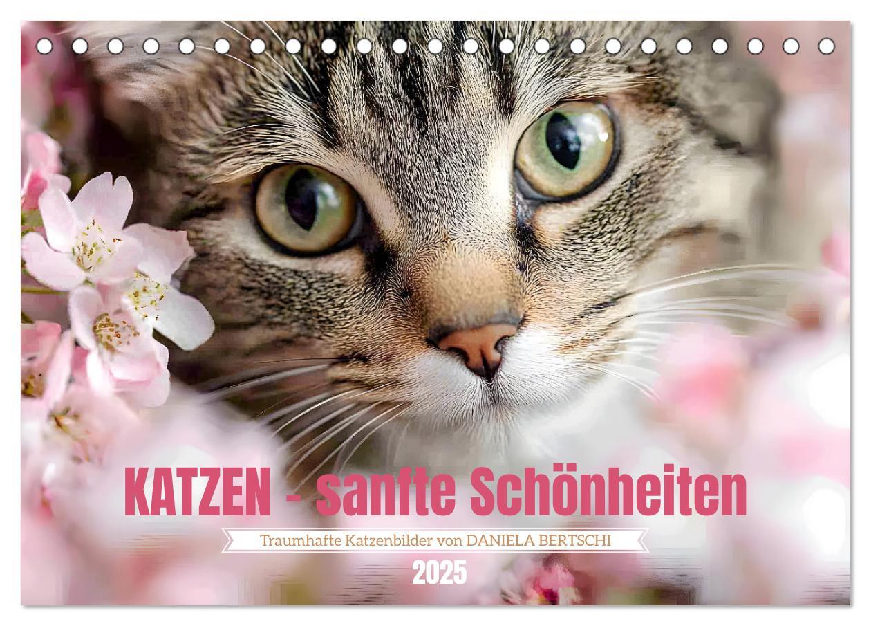 Cover: 9783457203897 | Katzen - sanfte Schönheiten (Tischkalender 2025 DIN A5 quer),...