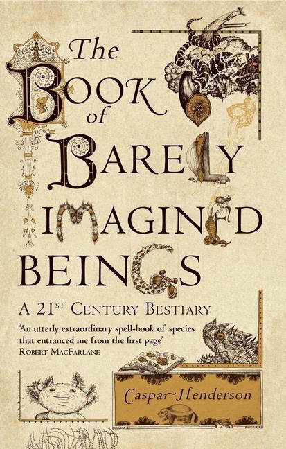 Cover: 9781847082442 | The Book of Barely Imagined Beings | A 21st-Century Bestiary | Buch