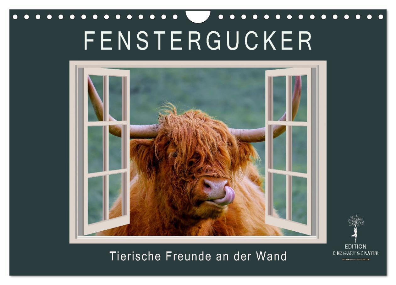 Cover: 9783675514089 | Fenstergucker - tierische Freunde an der Wand (Wandkalender 2024...