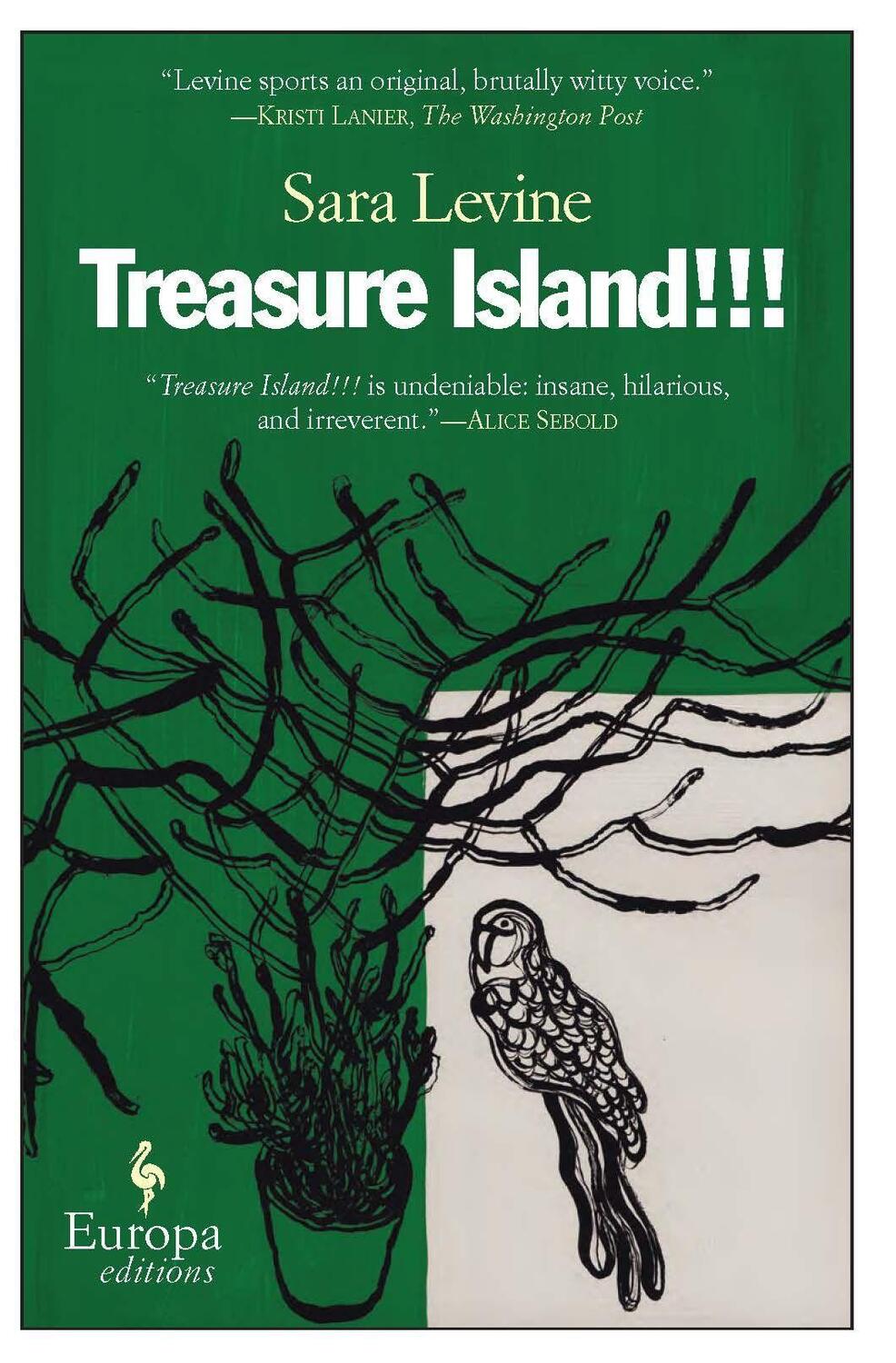 Cover: 9781609450618 | Treasure Island!!! | Sara Levine | Taschenbuch | Englisch | 2011