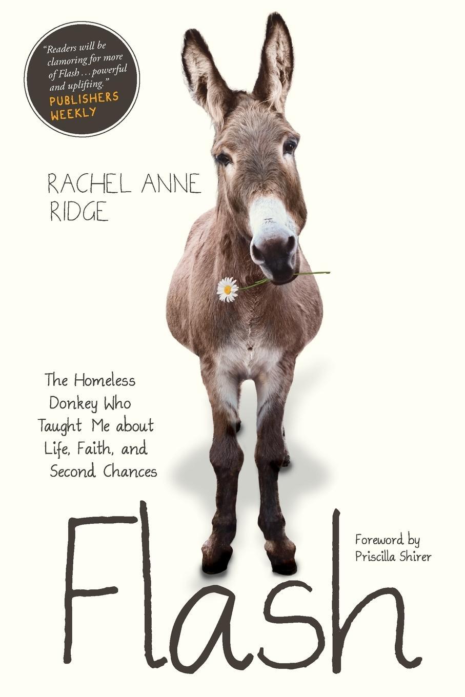 Cover: 9781414397849 | Flash | Rachel Anne Ridge | Taschenbuch | Paperback | Englisch | 2016