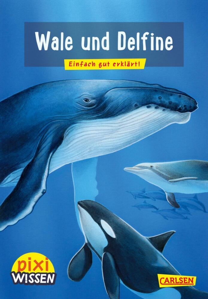 Cover: 9783551242105 | Pixi Wissen 8: Wale und Delfine | Einfach gut erklärt! | Thörner