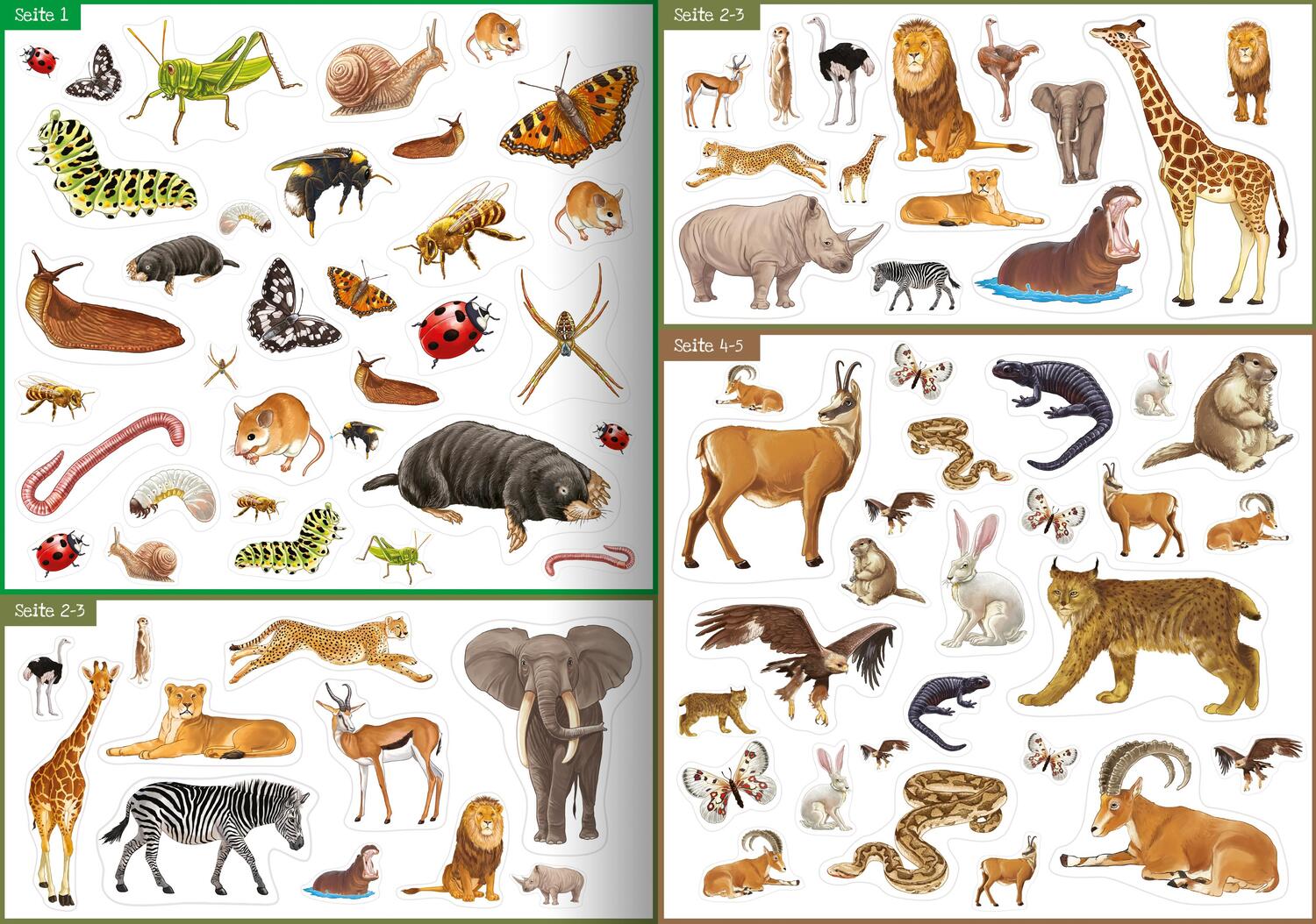 Bild: 9783863184919 | Tiere unserer Erde | Meine Stickerwelt | Broschüre | 24 S. | Deutsch