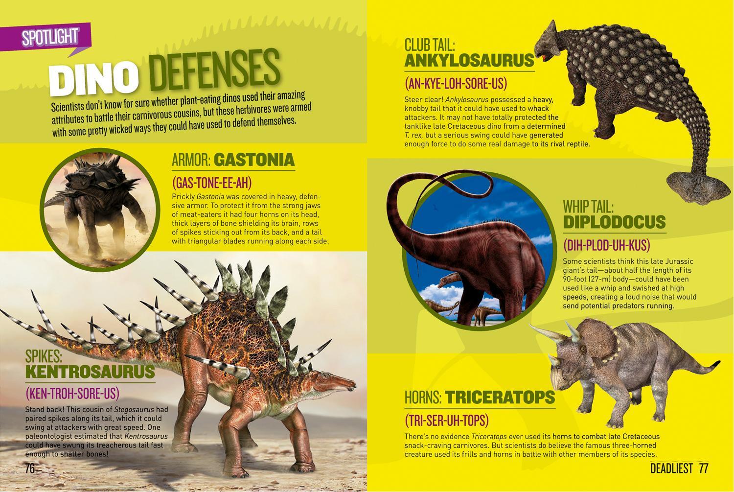 Bild: 9781426327940 | Dino Records | National Geographic Kids | Taschenbuch | Dinosaurs