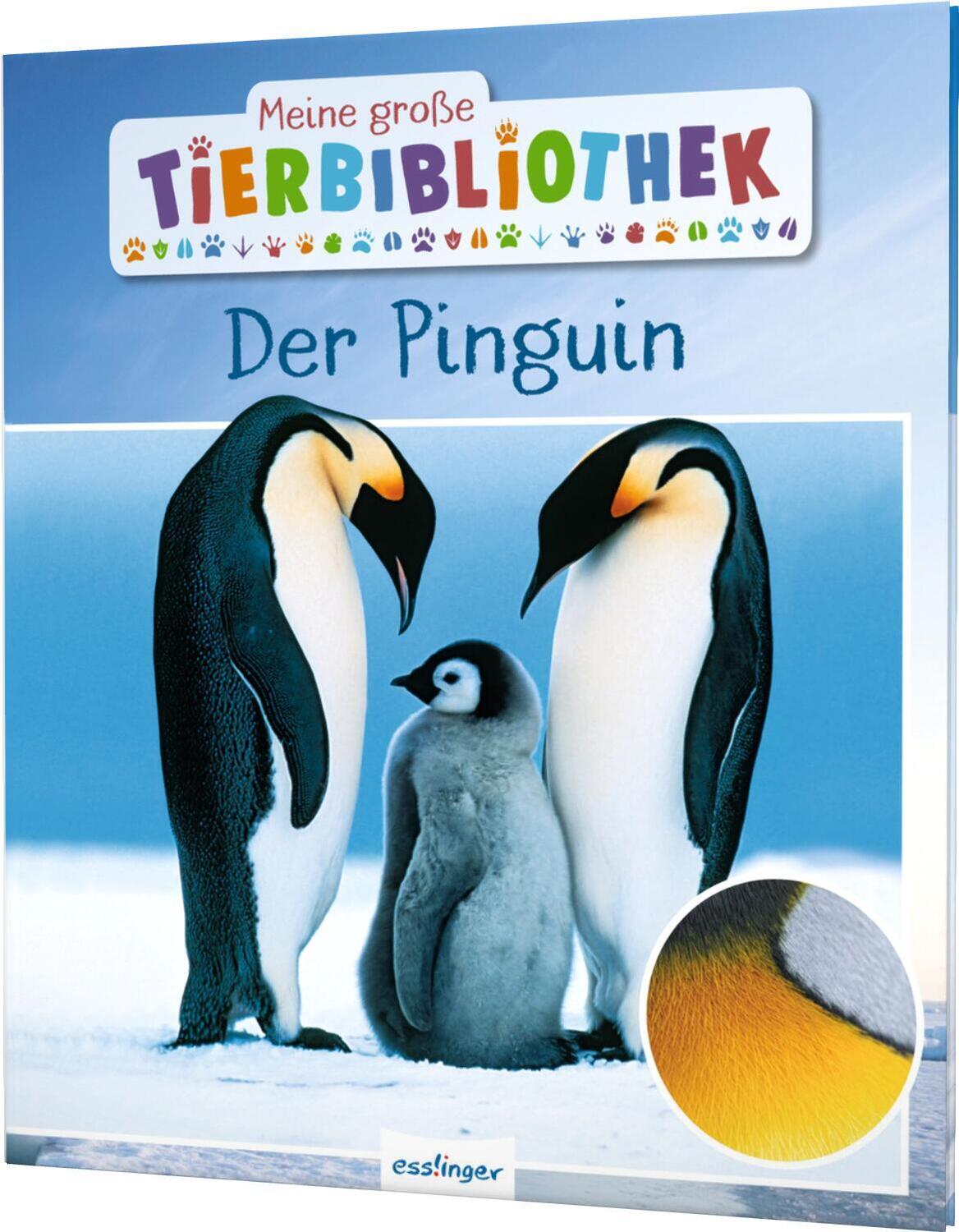 Cover: 9783480236398 | Meine große Tierbibliothek: Der Pinguin | Jens Poschadel | Buch | 2020