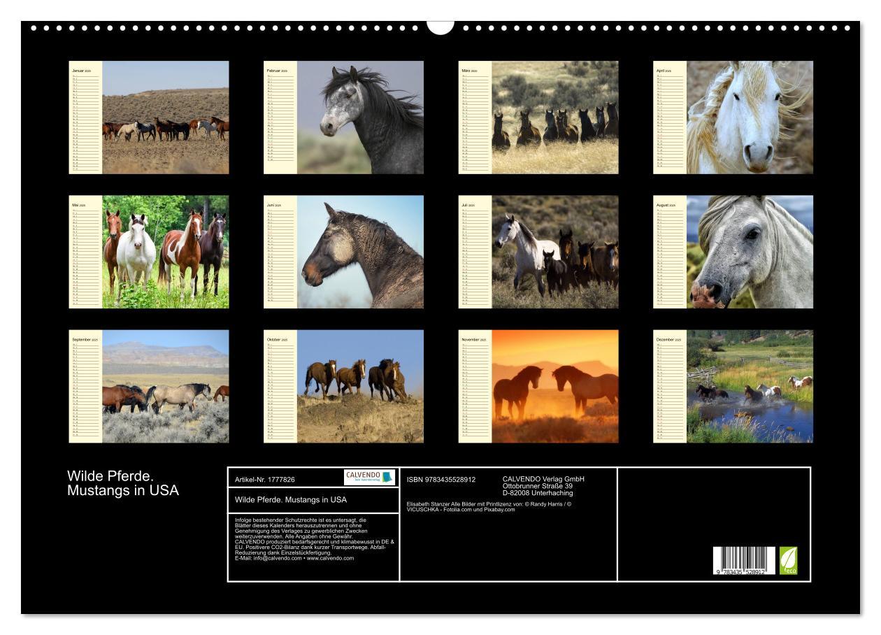 Bild: 9783435528912 | Wilde Pferde. Mustangs in USA (Wandkalender 2025 DIN A2 quer),...