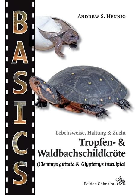 Cover: 9783899730548 | Tropfen- und Waldbachschildkröte | Andreas S. Hennig | Taschenbuch