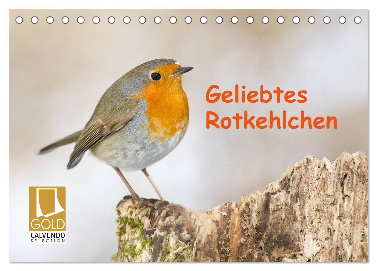 Cover: 9783675445345 | Geliebtes Rotkehlchen (Tischkalender 2024 DIN A5 quer), CALVENDO...
