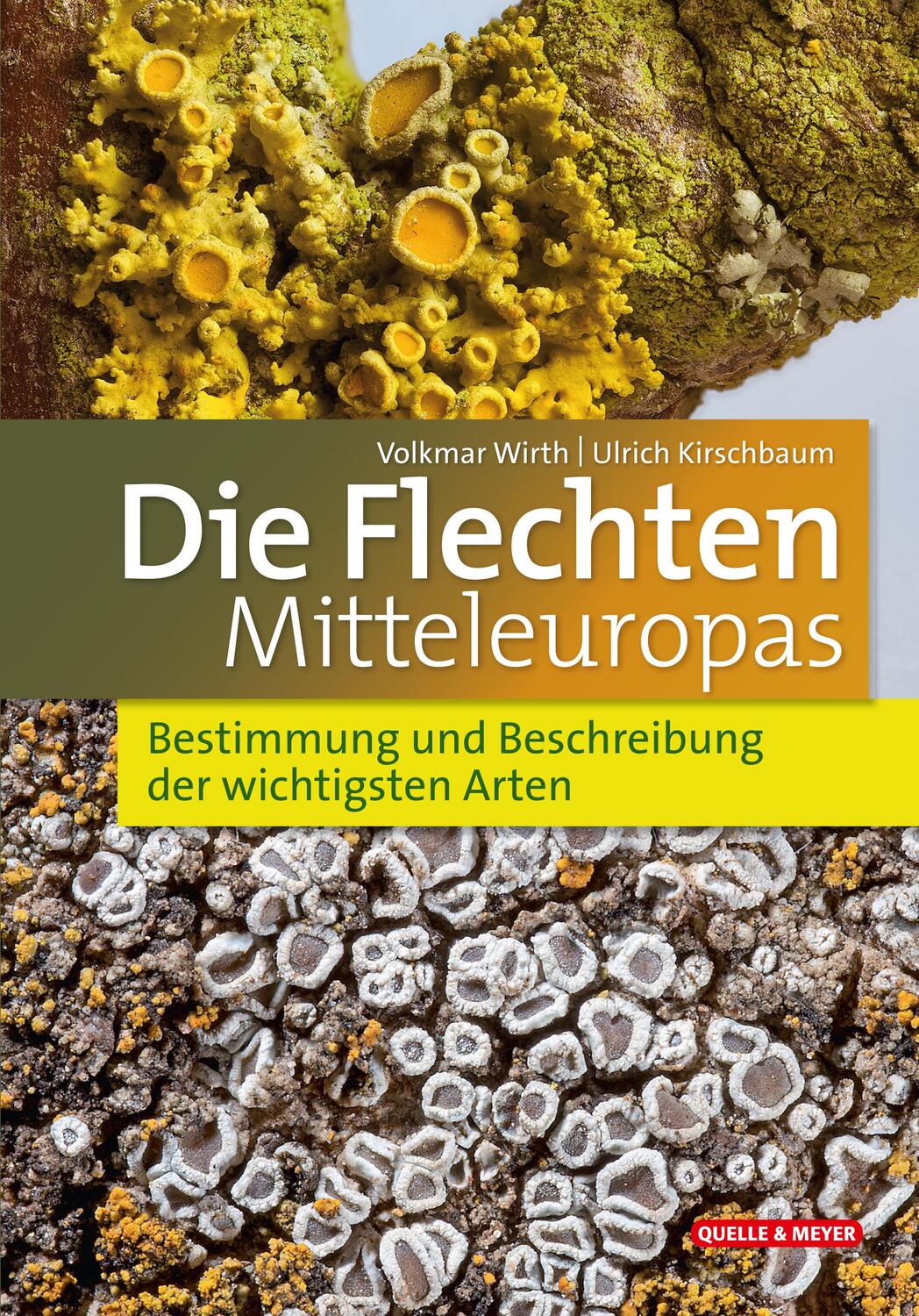 Cover: 9783494019703 | Die Flechten Mitteleuropas | Volkmar Wirth (u. a.) | Buch | 432 S.