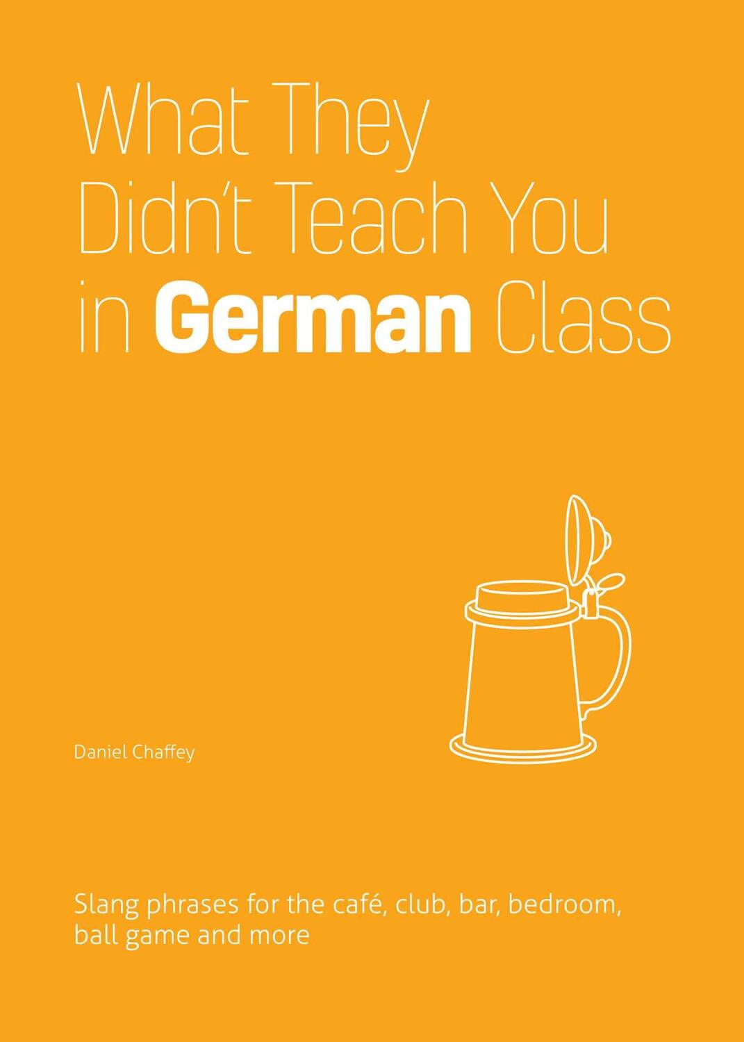 Cover: 9781646043972 | What They Didn't Teach You in German Class: Slang Phrases for the...