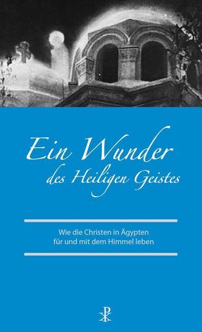 Cover: 9783717113218 | Ein Wunder des Heiligen Geistes | Angela Mahmoodzada | Taschenbuch