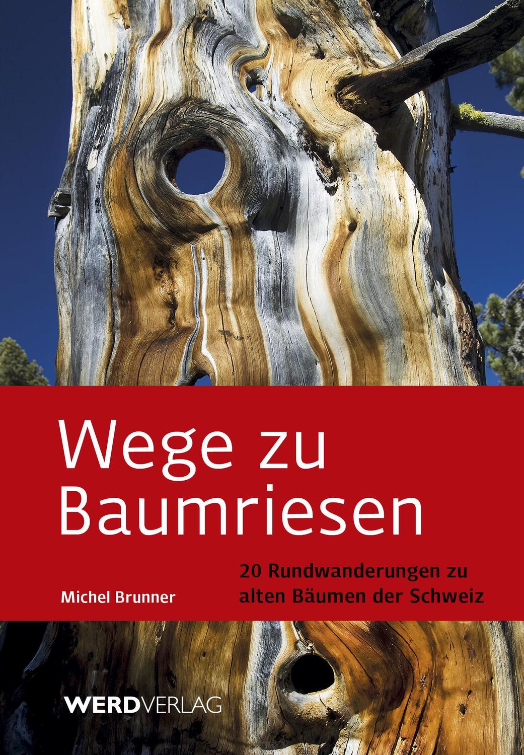 Wege zu Baumriesen - Brunner, Michel