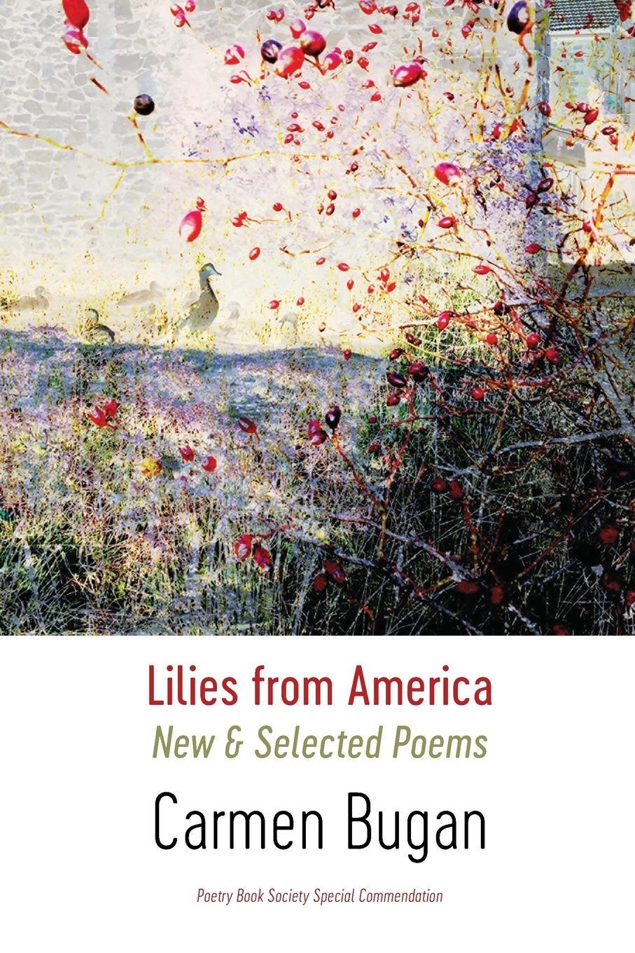 Cover: 9781848616738 | Lilies from America | New and Selected Poems | Carmen Bugan | Buch