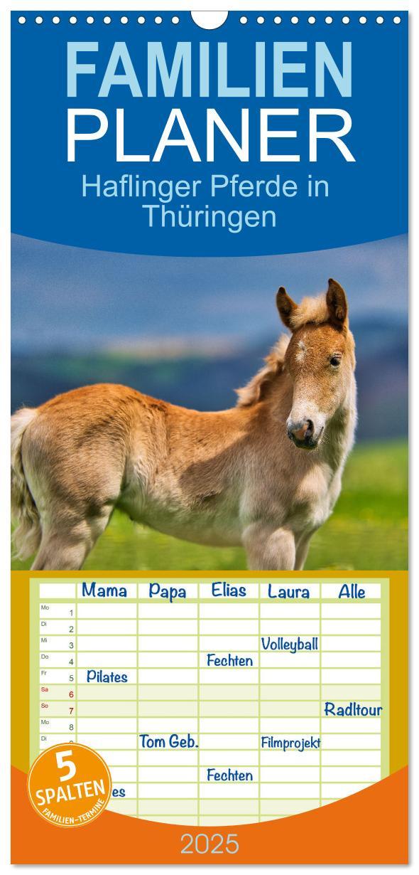 Cover: 9783457134795 | Familienplaner 2025 - Haflinger Pferde in Thüringen mit 5 Spalten...