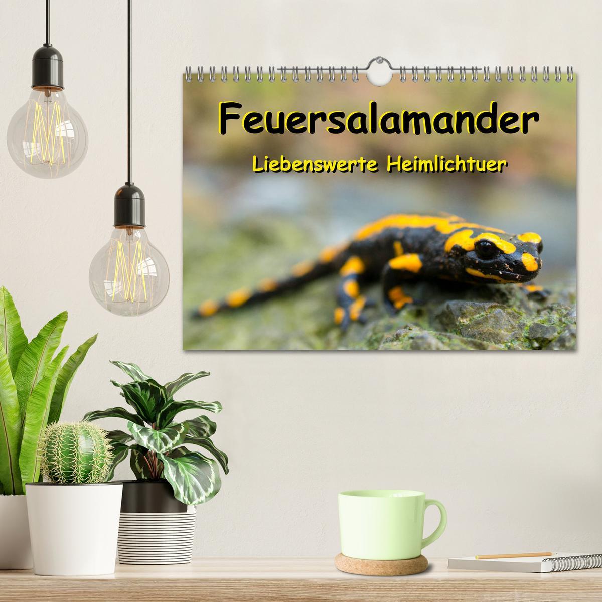 Bild: 9783435173228 | Feuersalamander - Liebenswerte Heimlichtuer (Wandkalender 2025 DIN...