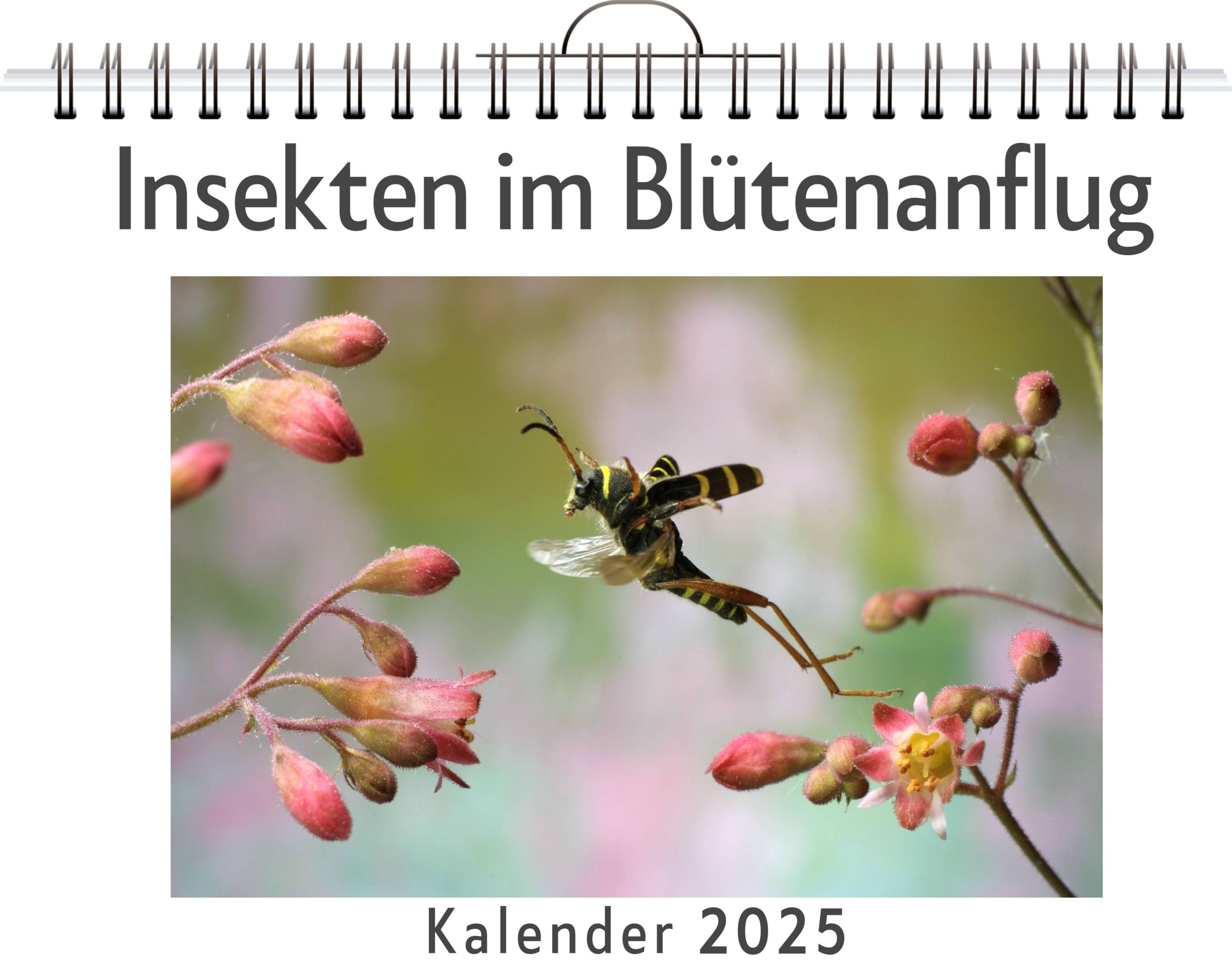 Cover: 9783759123534 | Insekten im Blütenanflug - (Wandkalender 2025, Kalender DIN A4...