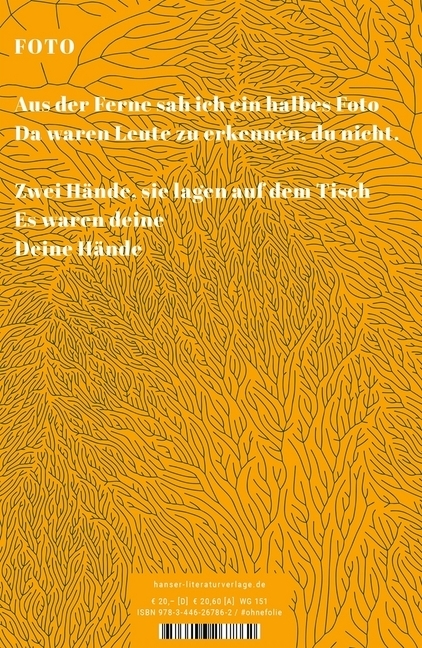 Bild: 9783446267862 | Brache | Gedichte | Dilek Mayatürk | Buch | 112 S. | Deutsch | 2020