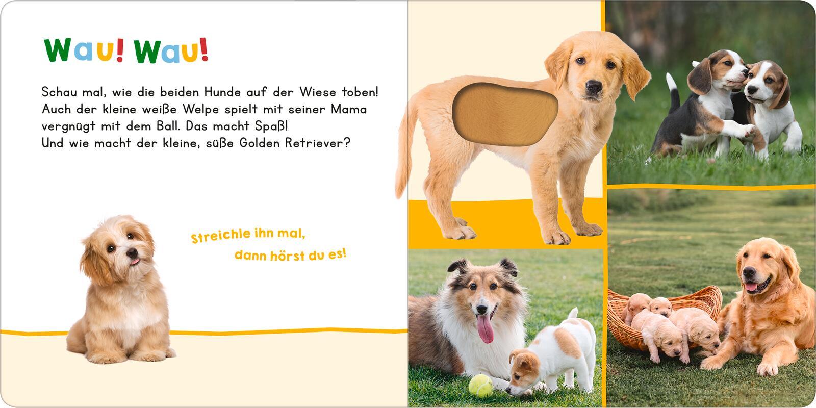 Bild: 9783845859347 | Hör mal rein, wer kann das sein? - Meine ersten Tiere | Buch | 12 S.