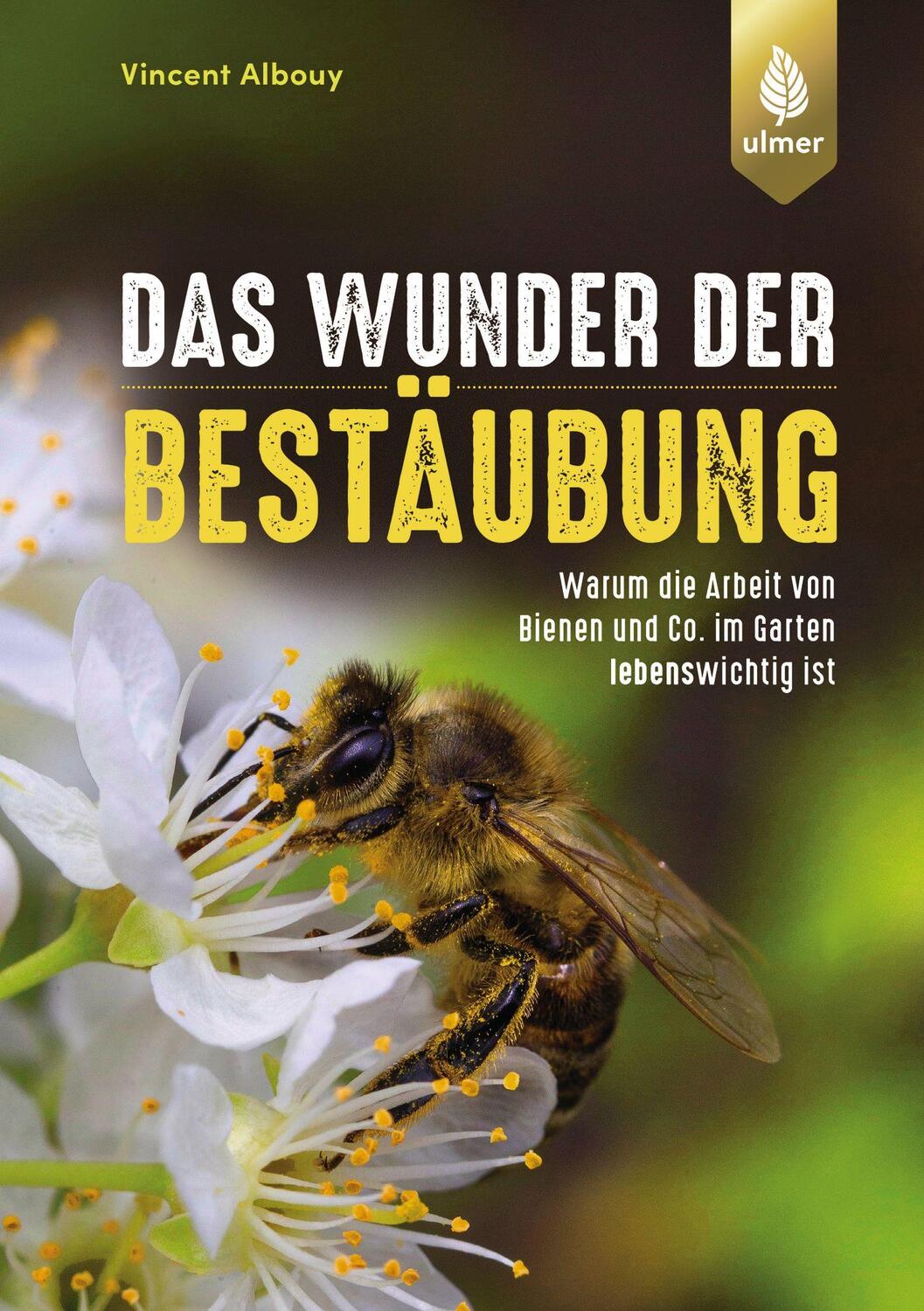 Cover: 9783818610364 | Das Wunder der Bestäubung | Vincent Albouy | Taschenbuch | Deutsch