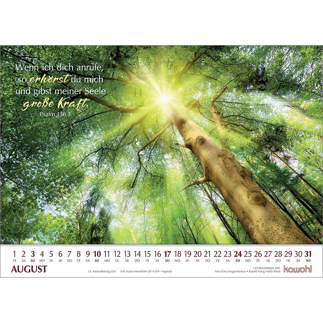 Bild: 9783754865057 | Lichtgedanken 2025 | Kalender | Spiralbindung | 14 S. | Deutsch | 2025