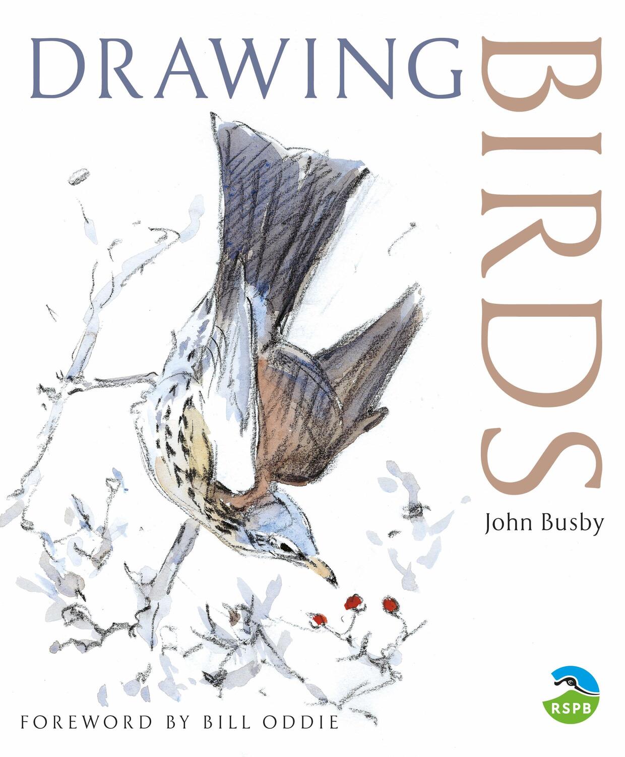 Cover: 9780713668162 | Drawing Birds | John Busby | Taschenbuch | RSPB | Englisch | 2004