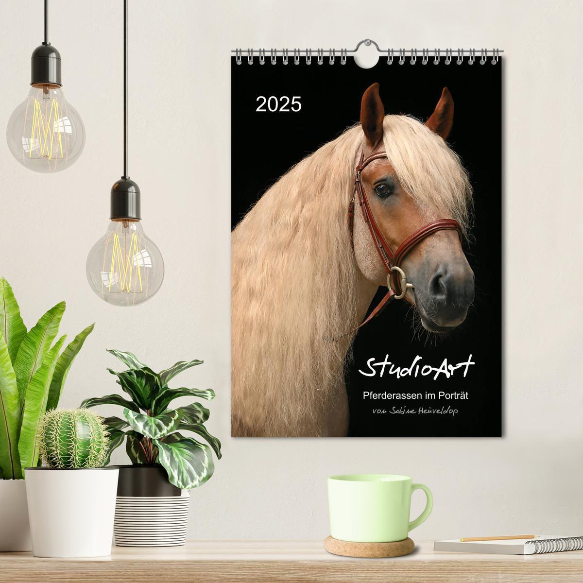 Bild: 9783435993420 | StudioArt Pferderassen im Porträt (Wandkalender 2025 DIN A4 hoch),...