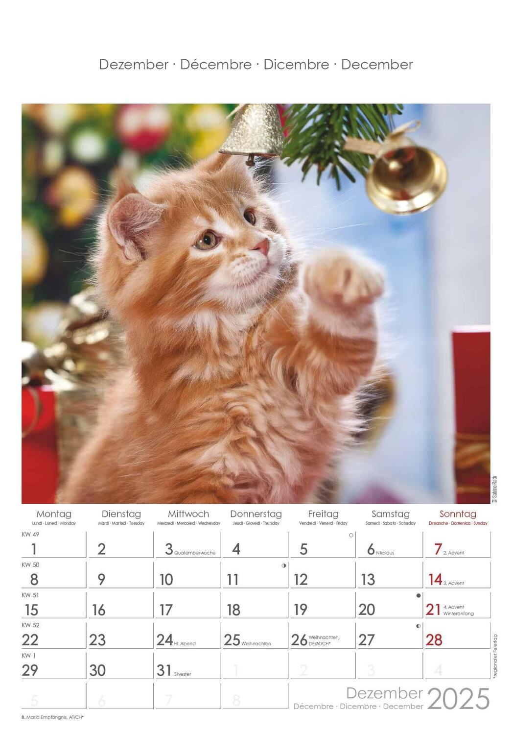 Bild: 4251732341015 | Katzen 2025 - Bildkalender 23,7x34 cm - Kalender mit Platz für...