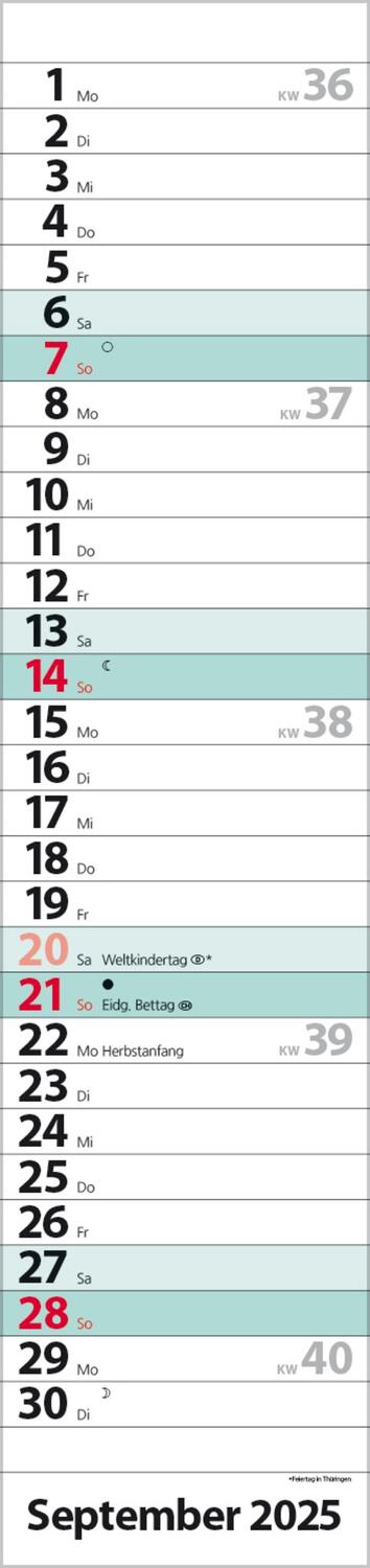 Bild: 9783731879602 | Streifenplaner Compact Türkis 2025 | Verlag Korsch | Kalender | 13 S.