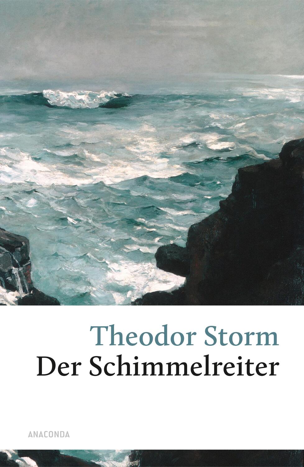 Cover: 9783938484739 | Der Schimmelreiter | Theodor Storm | Buch | 144 S. | Deutsch | 2006