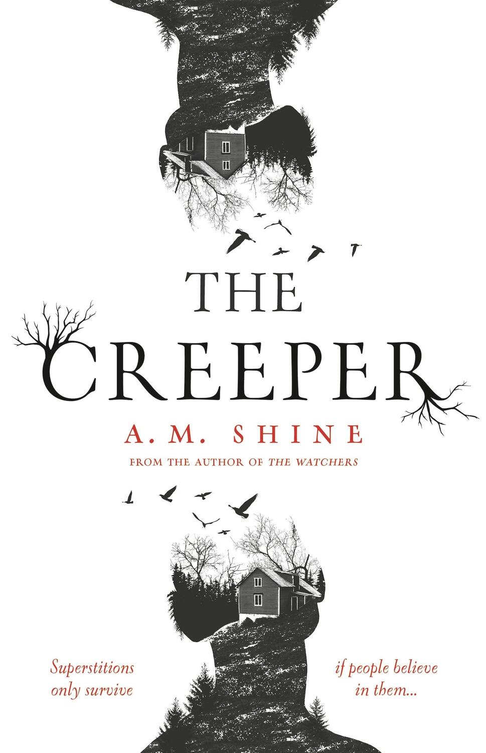 Cover: 9781801102179 | The Creeper | A.M. Shine | Buch | Gebunden | Englisch | 2022