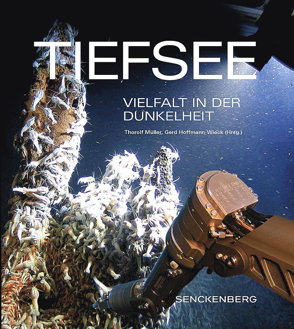 Cover: 9783510614158 | Tiefsee | Vielfalt in der Dunkelheit | Thorolf Müller (u. a.) | Buch