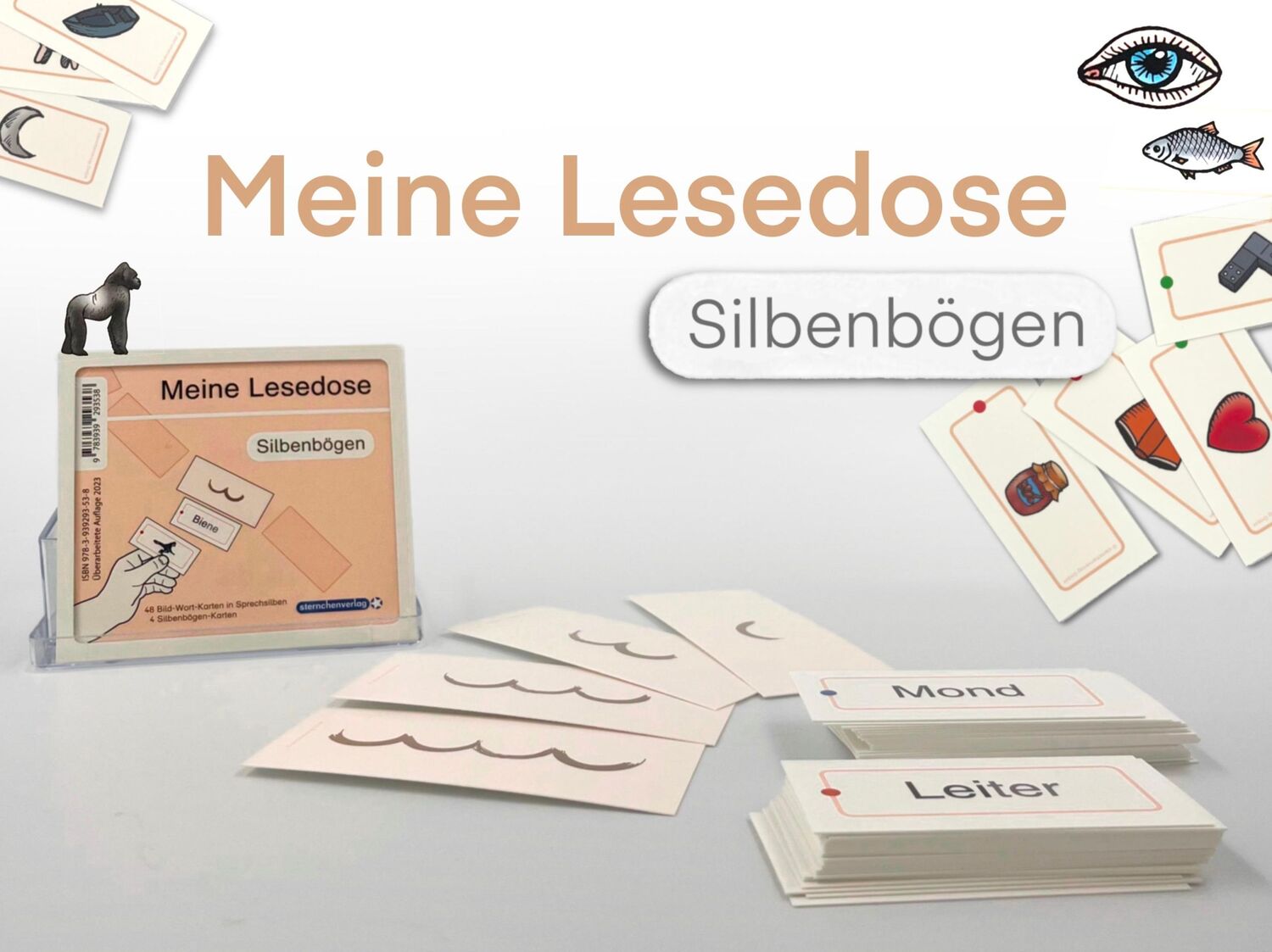 Cover: 9783939293538 | Meine Lesedose - Silbenbögen | Katrin Langhans | Box | 48 S. | Deutsch