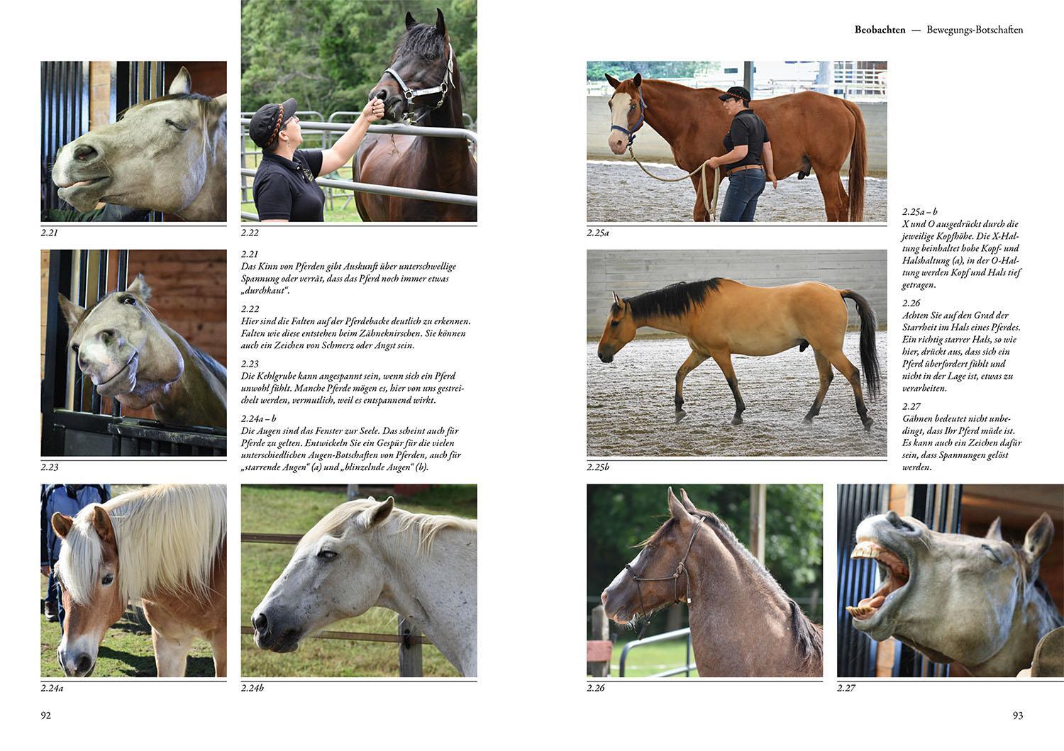 Bild: 9783440170632 | Sprachkurs Pferd - Das Trainingsbuch | Sharon Wilsie | Buch | 312 S.