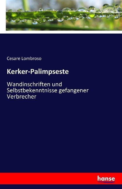 Cover: 9783741102813 | Kerker-Palimpseste | Cesare Lombroso | Taschenbuch | Paperback | 2016