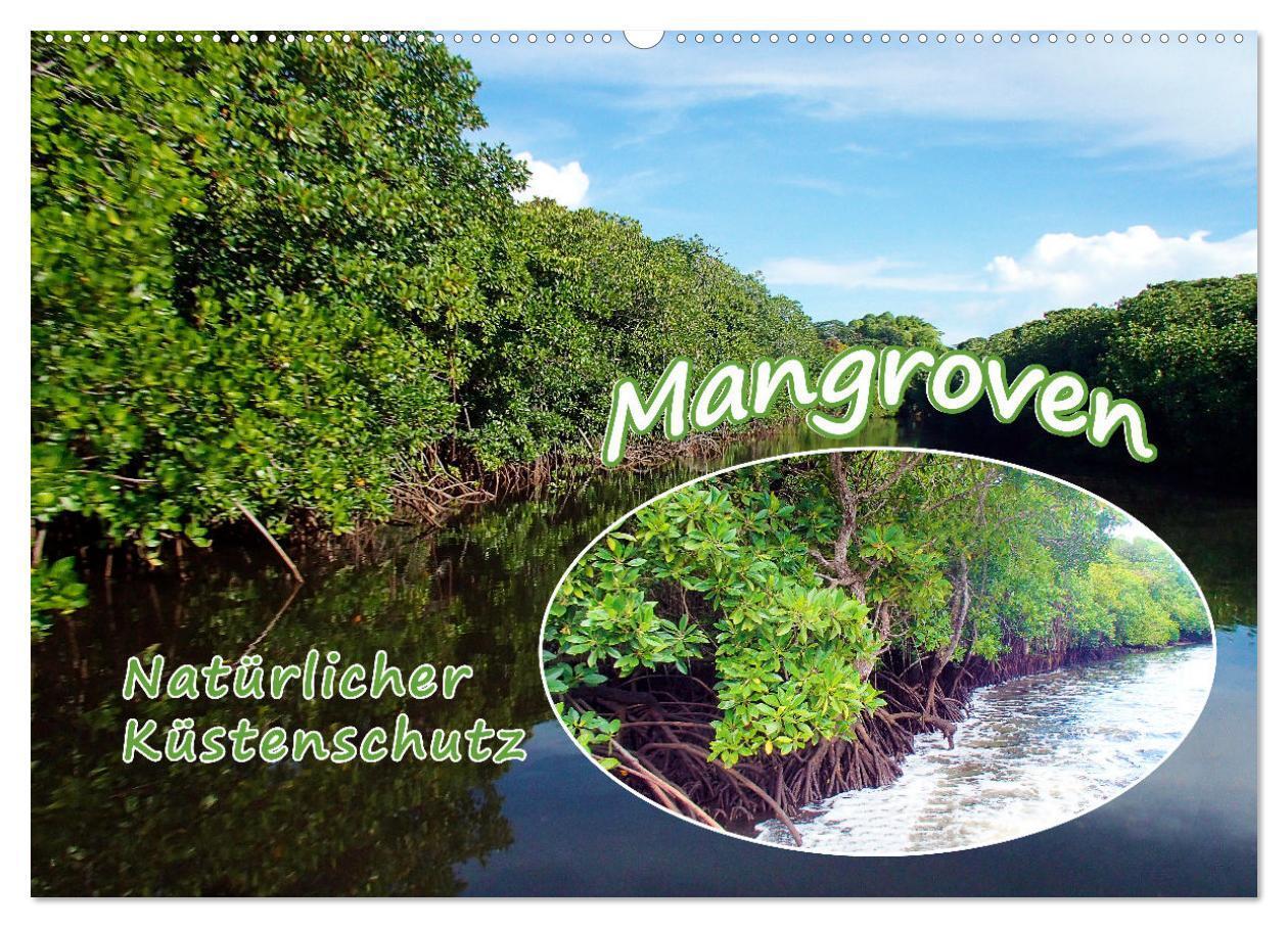 Cover: 9783675912557 | Mangroven - Natürlicher Küstenschutz (Wandkalender 2024 DIN A2...