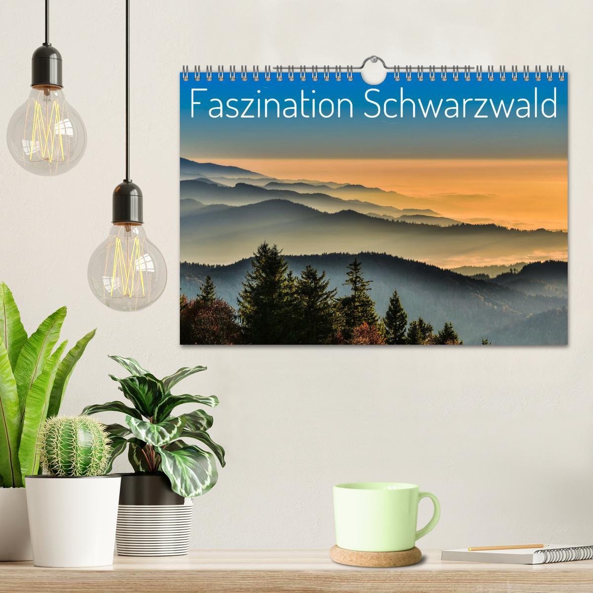 Bild: 9783457235409 | Faszination Schwarzwald (Wandkalender 2025 DIN A4 quer), CALVENDO...