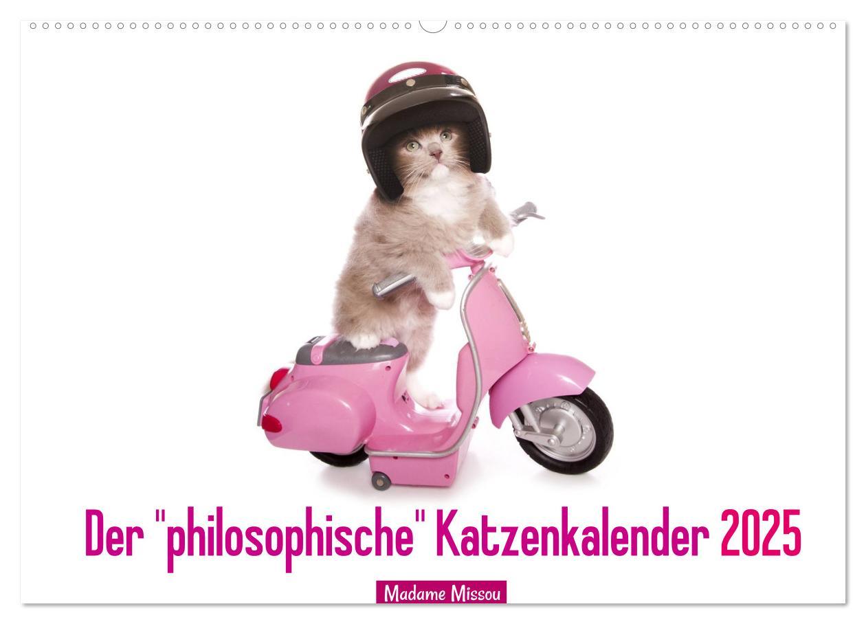 Cover: 9783435619764 | Der "philosophische" Katzenkalender 2025 (Wandkalender 2025 DIN A2...