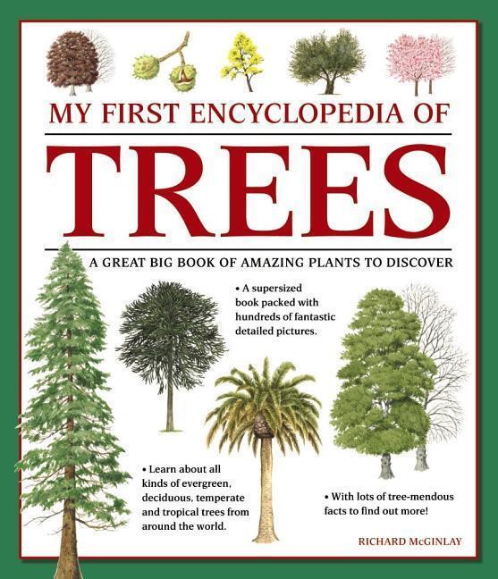 Cover: 9781861478252 | My First Encyclopedia of Trees (giant Size) | Mcginlay Richard | Buch
