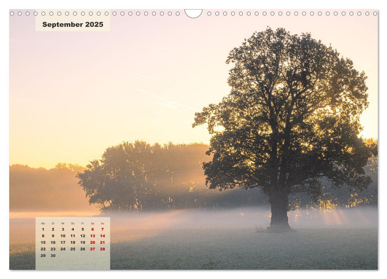 Bild: 9783383866937 | Ein Jahr Niederrhein Momente der Natur (Wandkalender 2025 DIN A3...