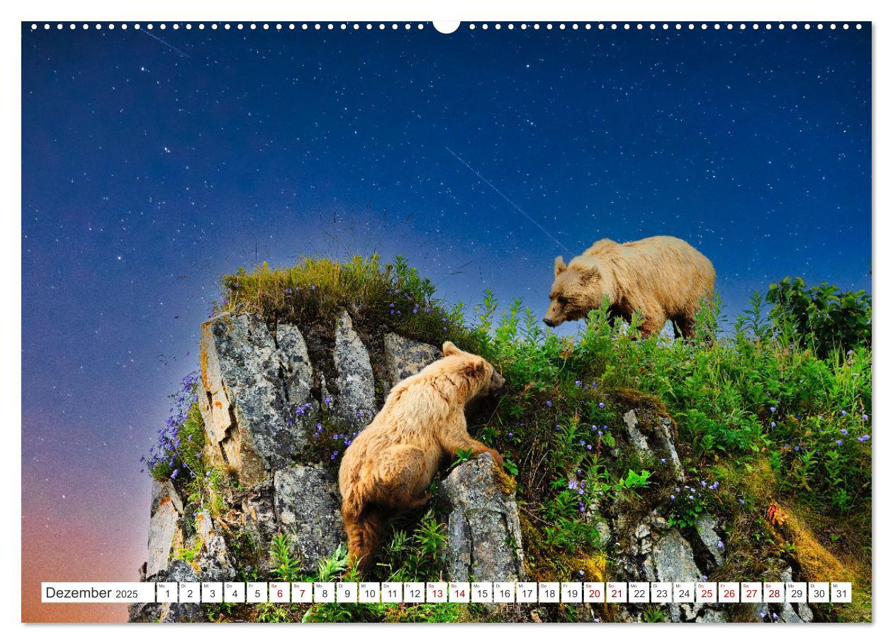 Bild: 9783383887390 | KANADA - Die Bären der Rocky Mountains (Wandkalender 2025 DIN A2...