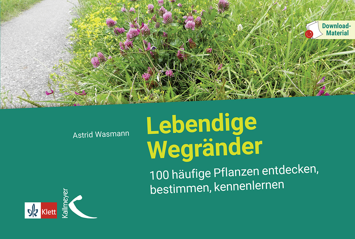 Cover: 9783772710124 | Lebendige Wegränder | Astrid Wasmann | Taschenbuch | 236 S. | Deutsch